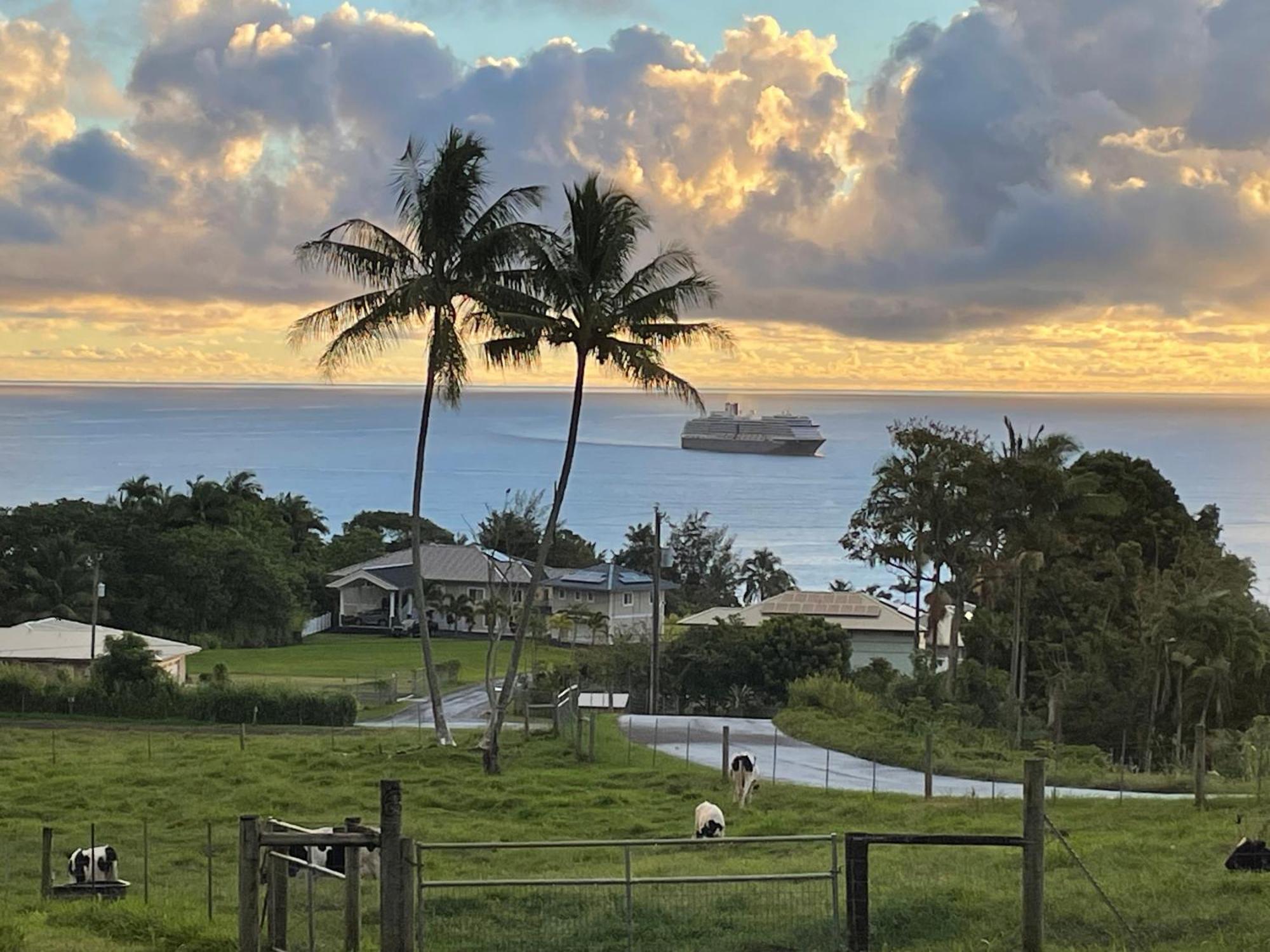 Hawaii Magic Skies Farmstay Paukaa Exterior photo