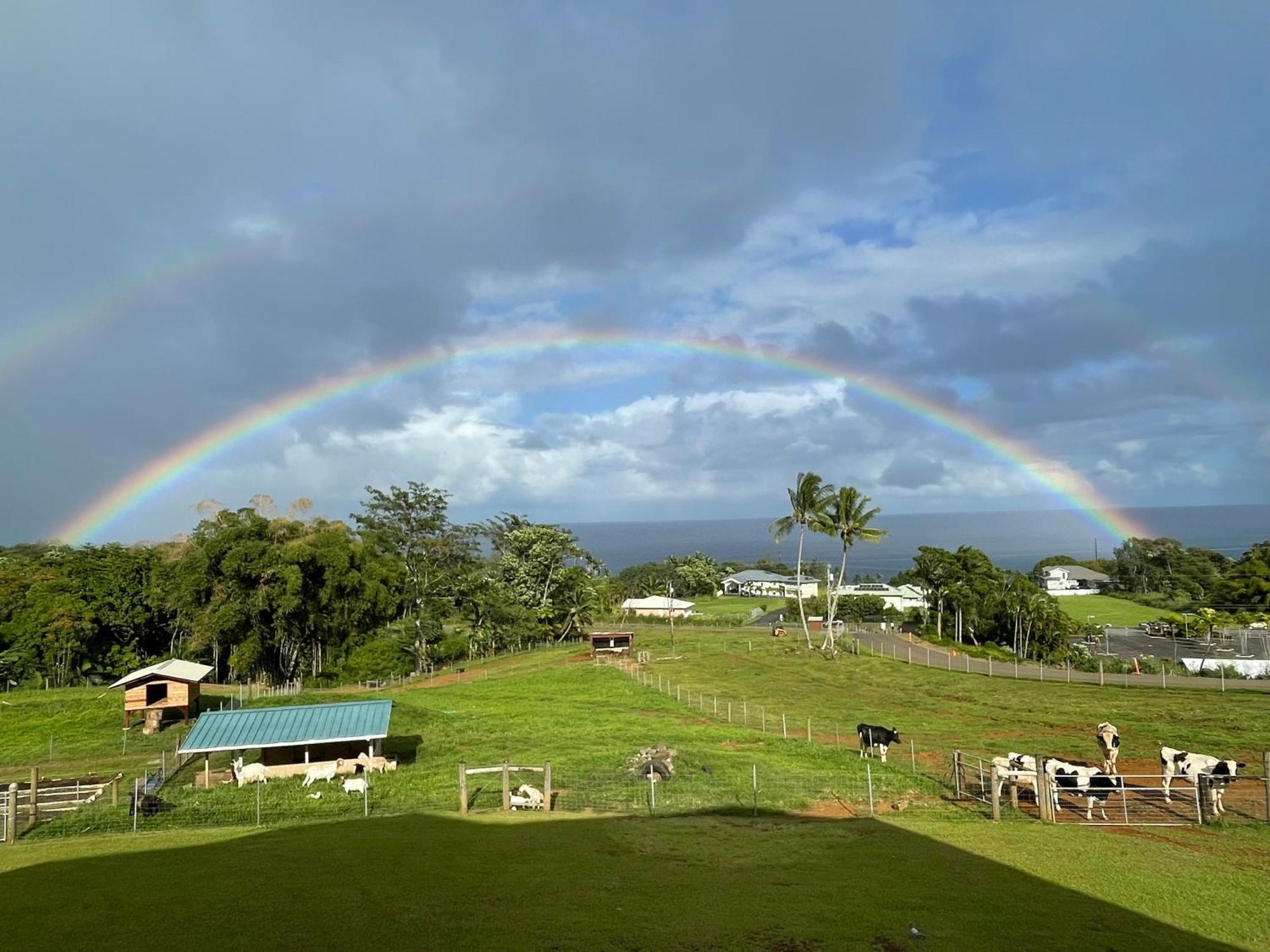 Hawaii Magic Skies Farmstay Paukaa Exterior photo